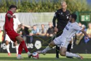 RAPPERSWIL - CAROUGE