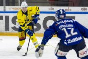 HCC - AROSA