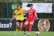 RAPPERSWIL - YB