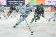 OLTEN - HCC