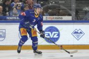 ZUG - TIGERS