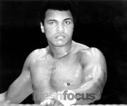 ALI 1942 - 2016