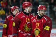 TIGERS - ZSC