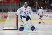 TIGERS - ZSC