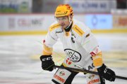 TIGERS - LUGANO