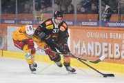 BERN - TIGERS