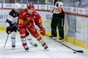TIGERS - LAUSANNE