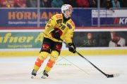 TIGERS - BERN