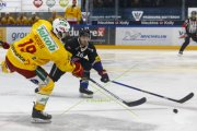 FRIBOURG - TIGERS