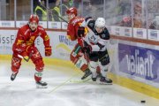 TIGERS - LAUSANNE
