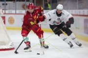 TIGERS - LAUSANNE