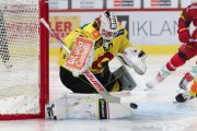TIGERS - BERN