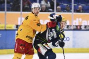 AMBRI - TIGERS