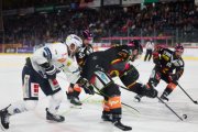 BERN - AMBRI