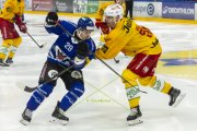FRIBOURG - TIGERS