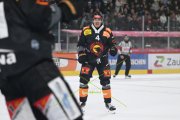 BERN - TIGERS