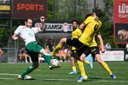 YB - KRIENS