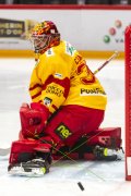 LAUSANNE - TIGERS
