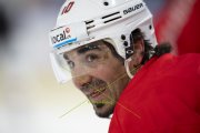 TRAINING SCHWEIZ