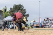 SOLOTHURNER KANTONAL SCHWINGFEST