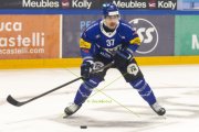FRIBOURG - TIGERS