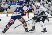 GCK LIONS - OLTEN