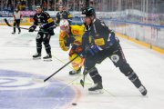 FRIBOURG - BERN