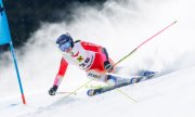 EUROPA CUP SPEED FINAL SAALBACH 2026