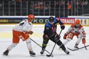 FRIBOURG - SHEFFIELD
