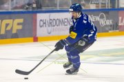 FRIBOURG - TIGERS