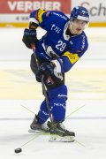 FRIBOURG - TIGERS