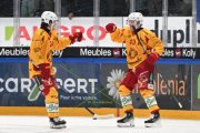 FRIBOURG - TIGERS