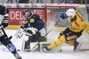 AMBRI - DAVOS