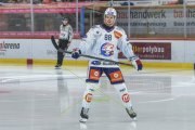 TIGERS - ZSC