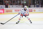 TIGERS - ZSC