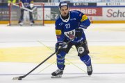 FRIBOURG - TIGERS