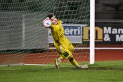 BELLINZONA - WIL