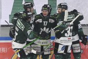 OLTEN - GCK LIONS