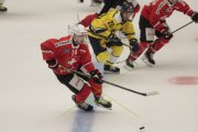 SCHWEDEN - SCHWEIZ
