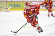 TIGERS - AMBRI