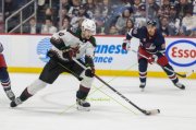 WINNIPEG - ARIZONA
