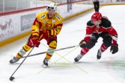 LAUSANNE - TIGERS