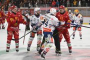 TIGERS - ZSC
