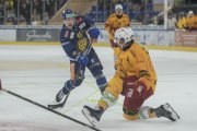 DAVOS - TIGERS