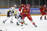 AMBRI - TIGERS