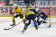 AMBRI - AJOIE