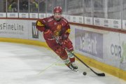TIGERS - ZSC
