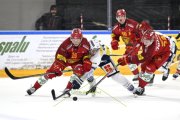 AMBRI - TIGERS