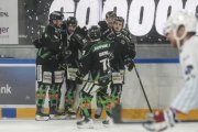 OLTEN - GCK LIONS