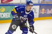 FRIBOURG - TIGERS